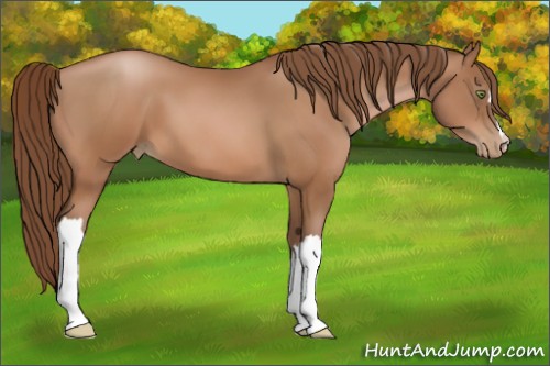 Horse Color:Brown Pearl 
