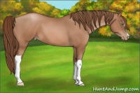 Horse Color:Brown Pearl