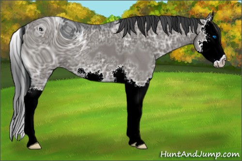 Horse Color:ERROR: UNKNOWN ANOMALY
