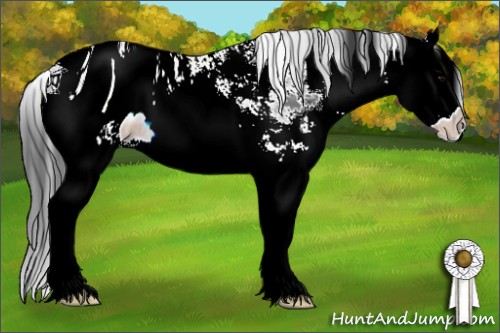 Horse Color:ERROR: UNKNOWN ANOMALY