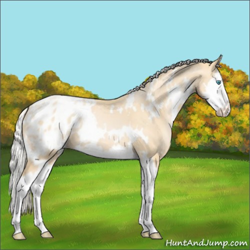 Horse Color:White Spotted Palomino Pearl Splash Varnish 