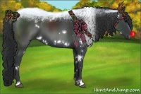 Horse Color:White Spotted Black