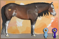 Horse Color:Brown Roan Sabino Splash