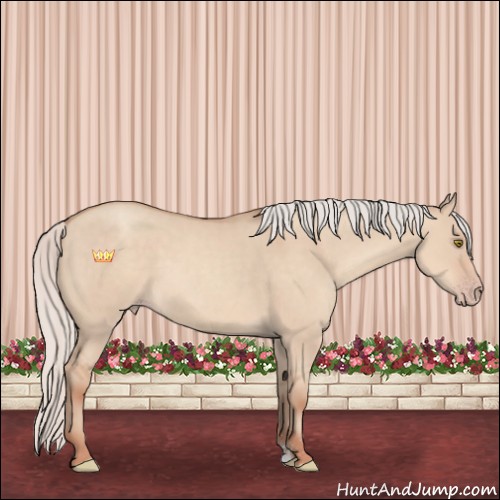 Horse Color:Silver Classic Champagne Dun Sabino 