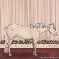 Horse Color:Silver Classic Champagne Dun Sabino