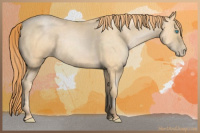 Horse Color:Buckskin Roan Pearl Sabino 