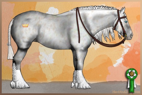 Horse Color:Cremello Tobiano Appaloosa 