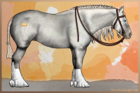 Horse Color:Perlino Dun Sabino Rabicano