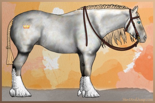 Horse Color:Buckskin Pearl Dun Sabino Appaloosa 