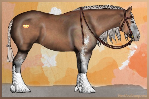 Horse Color:Silver Bay Sabino 