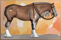 Horse Color:Silver Bay Sabino 