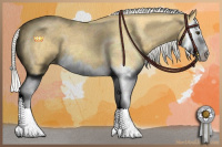 Horse Color:Silver Buckskin Roan Splash