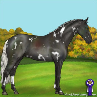 Horse Color:White Spotted Liver Chestnut Mushroom 