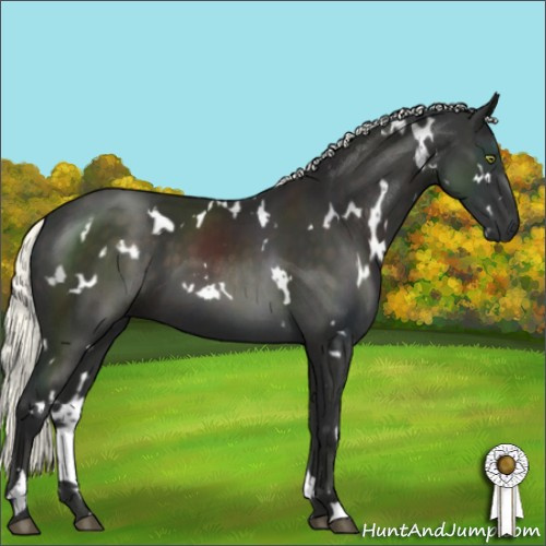 Horse Color:White Spotted Liver Chestnut Mushroom