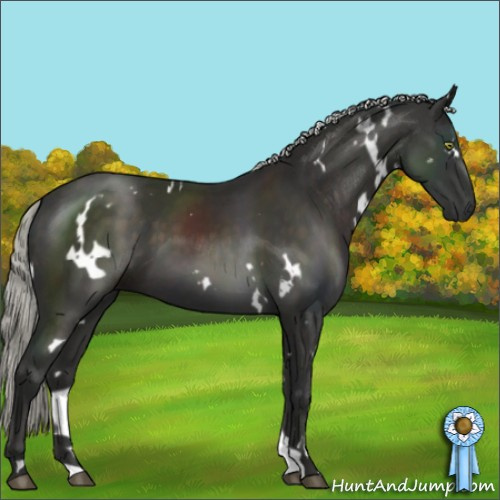 Horse Color:White Spotted Liver Chestnut Mushroom 