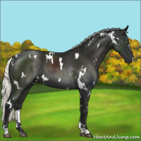 Horse Color:White Spotted Liver Chestnut Mushroom 