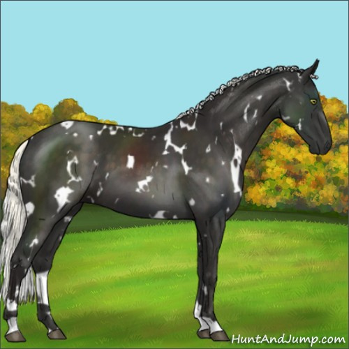 Horse Color:White Spotted Liver Chestnut Mushroom 
