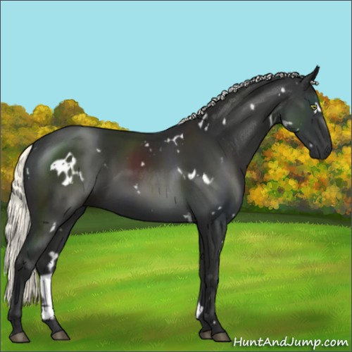 Horse Color:White Spotted Liver Chestnut Mushroom 
