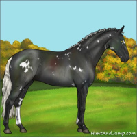 Horse Color:White Spotted Liver Chestnut Mushroom 