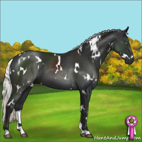 Horse Color:White Spotted Liver Chestnut Mushroom 