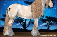 Horse Color:White Spotted Gold Champagne Dun 