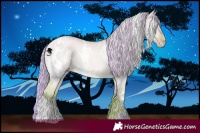 Horse Color:Watercolor White Spotted Gold Champagne Dun 