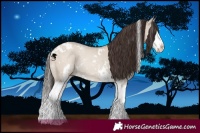 Horse Color:White Spotted Classic Champagne Dun Splash 