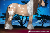 Horse Color:White Spotted Amber Champagne 