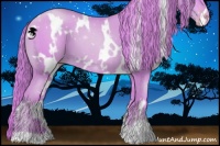 Horse Color:Watercolor White Spotted Gold Champagne 