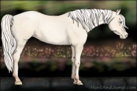 Horse Color:Silver Amber Cream Champagne Pearl