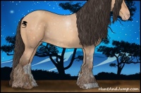 Horse Color:Amber Champagne 