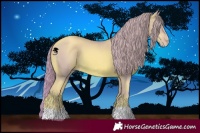 Horse Color:Watercolor Gold Champagne 