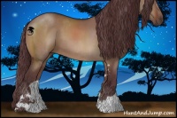 Horse Color:Chocolate Brown Dun Sabino 