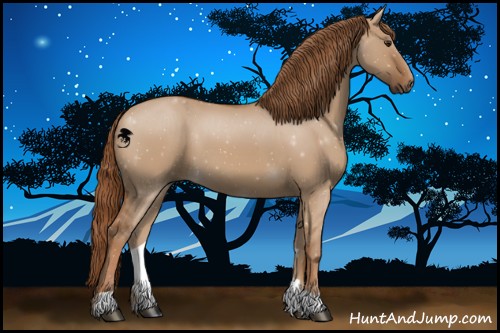 Horse Color:Red Dun 