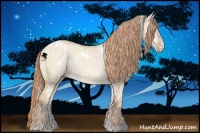 Horse Color:White Spotted Gold Champagne Dun 