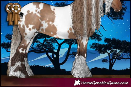 Horse Color:White Spotted Liver Red Dun 