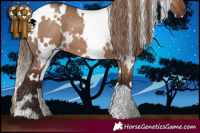 Horse Color:White Spotted Liver Red Dun 