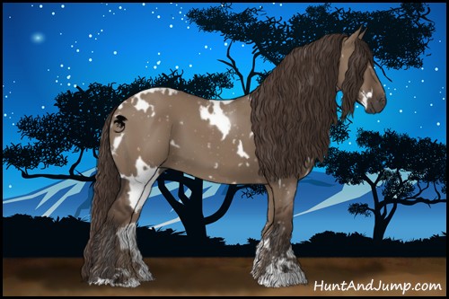 Horse Color:White Spotted Liver Red Dun Sabino 