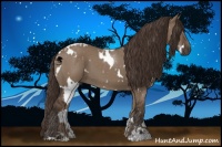 Horse Color:White Spotted Liver Red Dun Sabino 