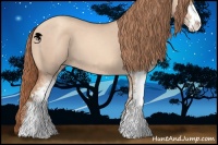 Horse Color:Gold Champagne Dun Sabino 