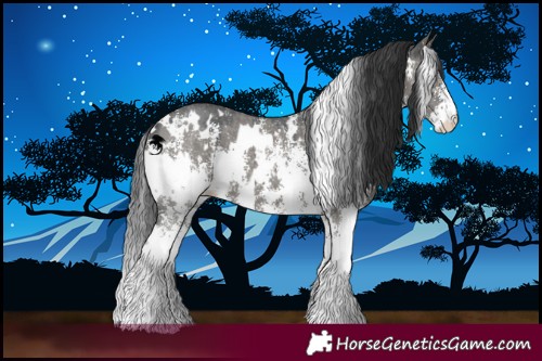 Horse Color:White Spotted Grullo Sabino 