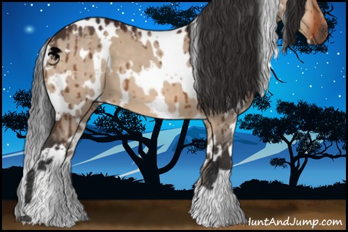Horse Color:White Spotted Brown Dun Brindle