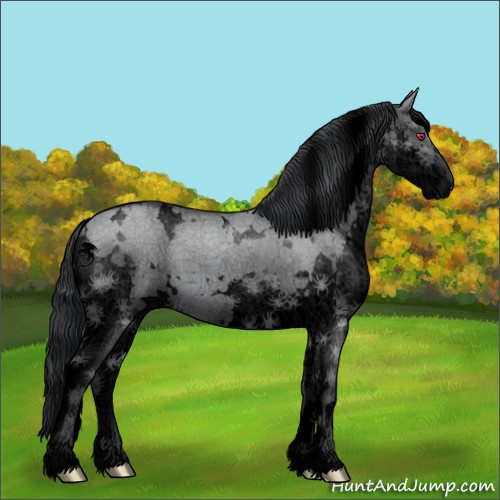 Horse Color:Void White Spotted Grullo Chinchilla Splash 