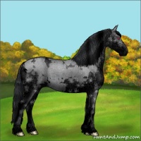 Horse Color:Void White Spotted Grullo Chinchilla Splash 