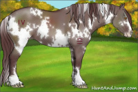 Horse Color:White Spotted Chocolate Grullo Sabino 