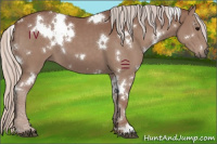 Horse Color:White Spotted Chocolate Silver Black 