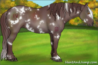 Horse Color:White Spotted Chocolate Black 