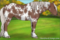 Horse Color:White Spotted Chocolate Silver Black 