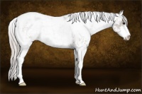 Horse Color:Silver Black Sabino 