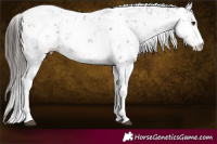 Horse Color:Liver Chestnut Sabino
